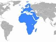 Omicron variant: G7 to hold emergency Covid meeting as Japan closes its borders | Coronavirus | The&nbsp;Guardian