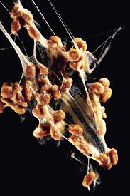 UAE intercepts two ballistic missiles targeting Abu Dhabi as Yemen’s Houthi rebels claim responsibility | World News | Sky&nbsp;News