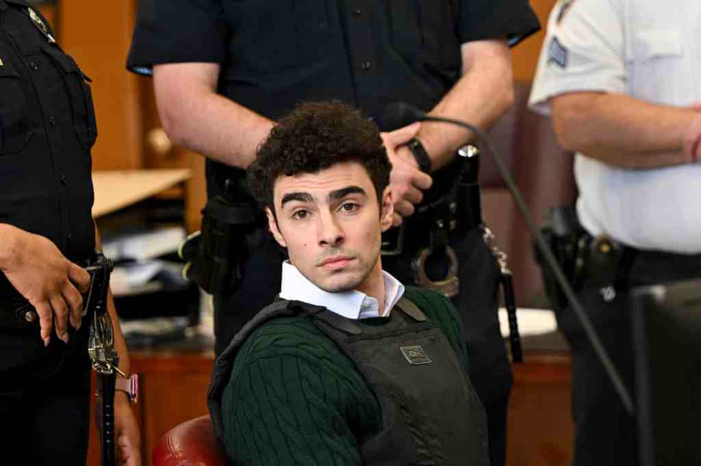 Luigi Mangione pleads not guilty in federal court to murdering healthcare CEO | New York | The&nbsp;Guardian